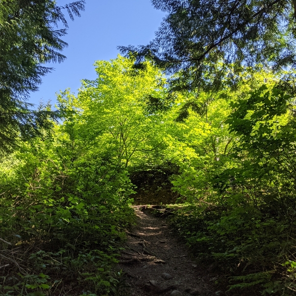 Meet your Posher, Chrissy - Picture 1 of 1